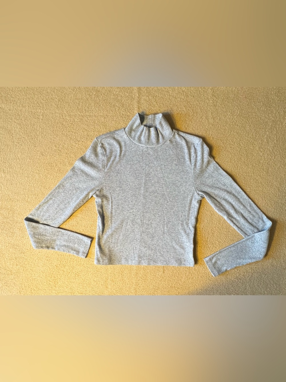 American Eagle Outfitters Light Gray Long Sleeve Turtleneck Top